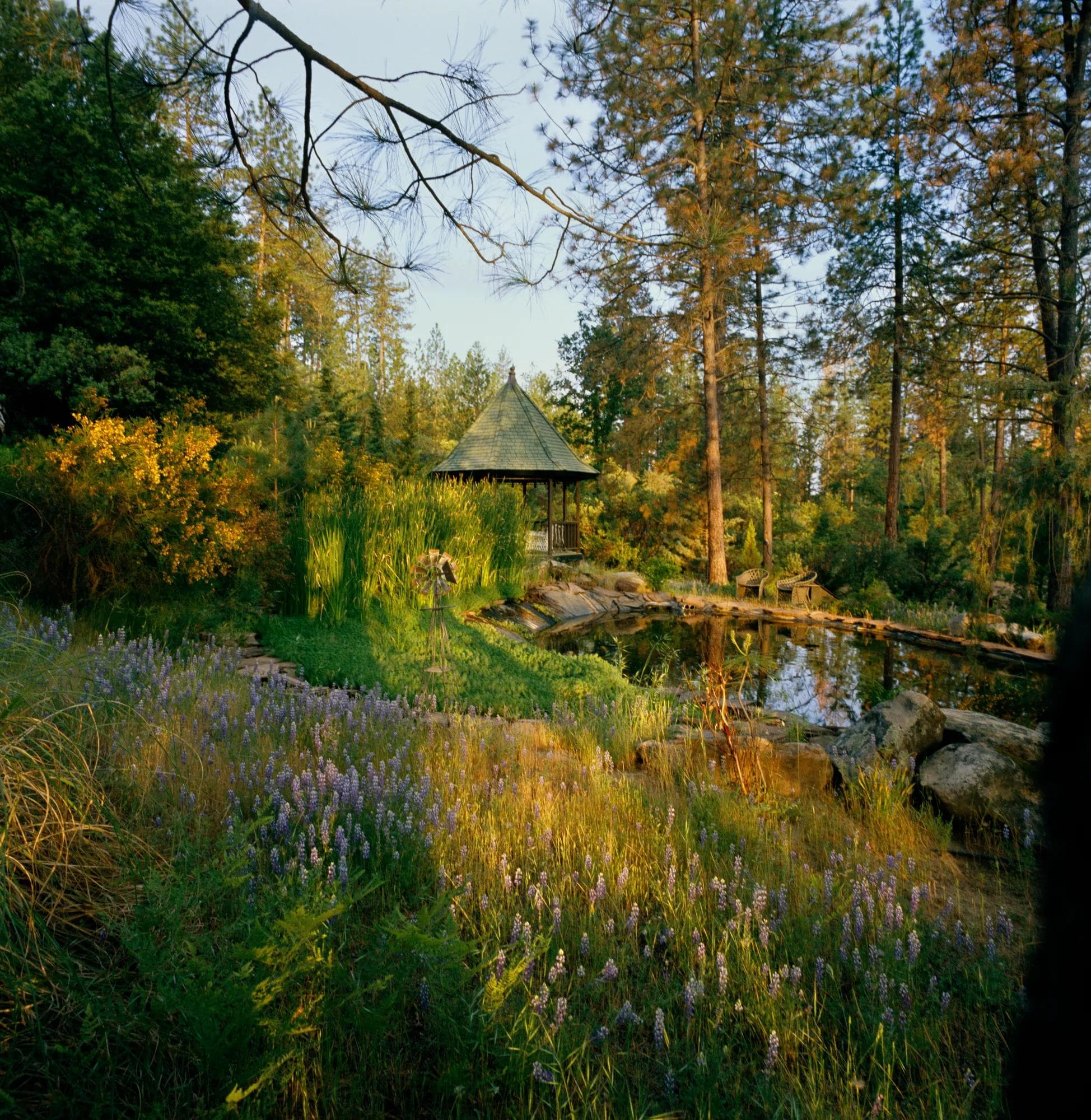 CHÂTEAU DU SUREAU Oakhurst, Californie, États-Unis