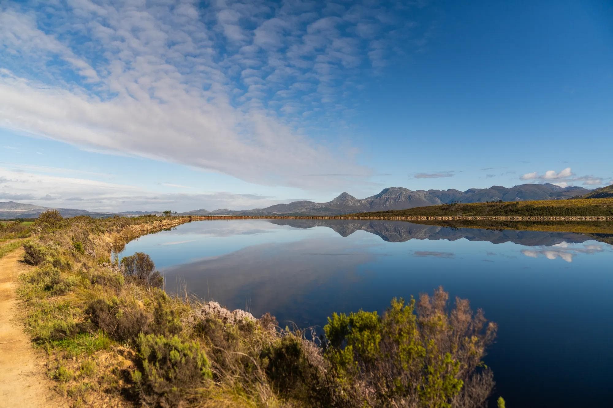 Biodiversity starts on our plates